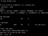 Linux系统配置DNS教程（使用阿里云公共dns）